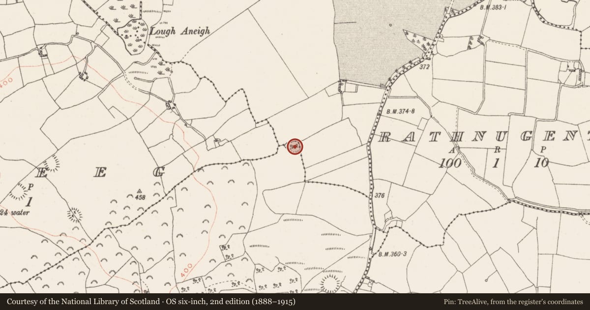 Ordnance Survey six-inch map, 2nd edition (1888–1915) covering the location of Enclosure, Dromore, County Westmeath, with a pin at the register's coordinates