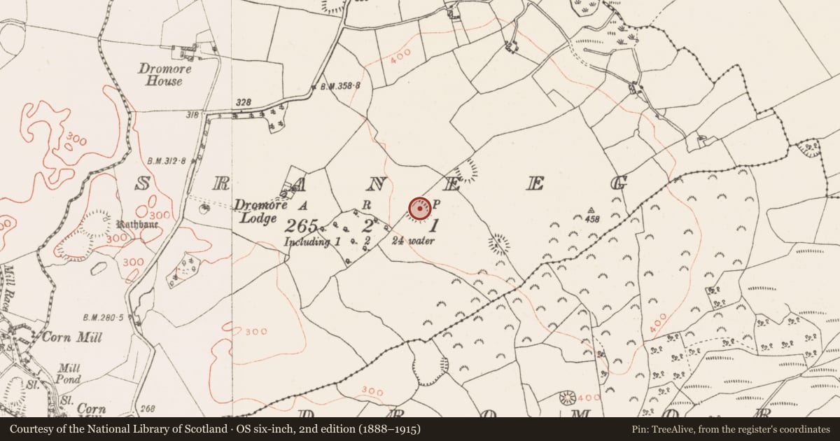 Ordnance Survey six-inch map, 2nd edition (1888–1915) covering the location of Enclosure, Sraneeg, County Westmeath, with a pin at the register's coordinates