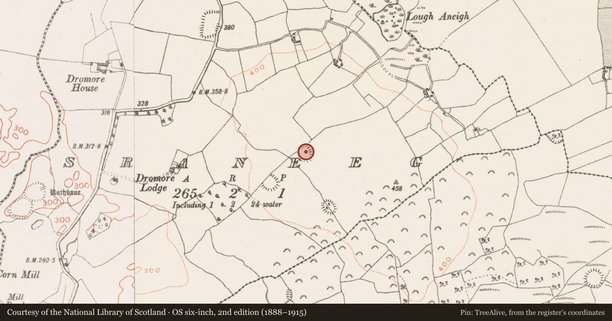 Ordnance Survey six-inch map, 2nd edition (1888–1915) covering the location of Ringfort - rath, Sraneeg, County Westmeath, with a pin at the register's coordinates