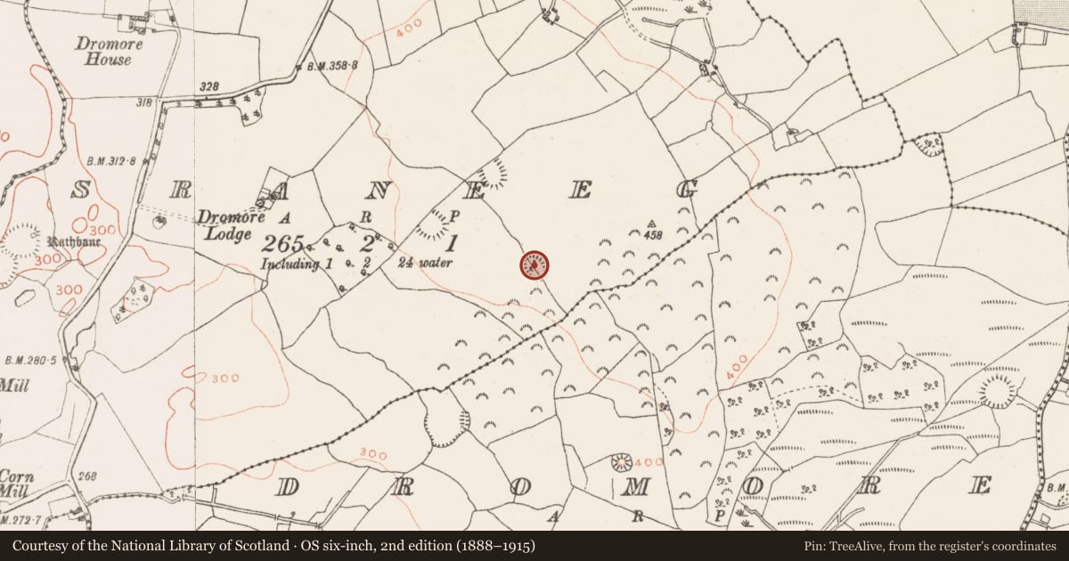 Ordnance Survey six-inch map, 2nd edition (1888–1915) covering the location of Ringfort - rath, Sraneeg, County Westmeath, with a pin at the register's coordinates