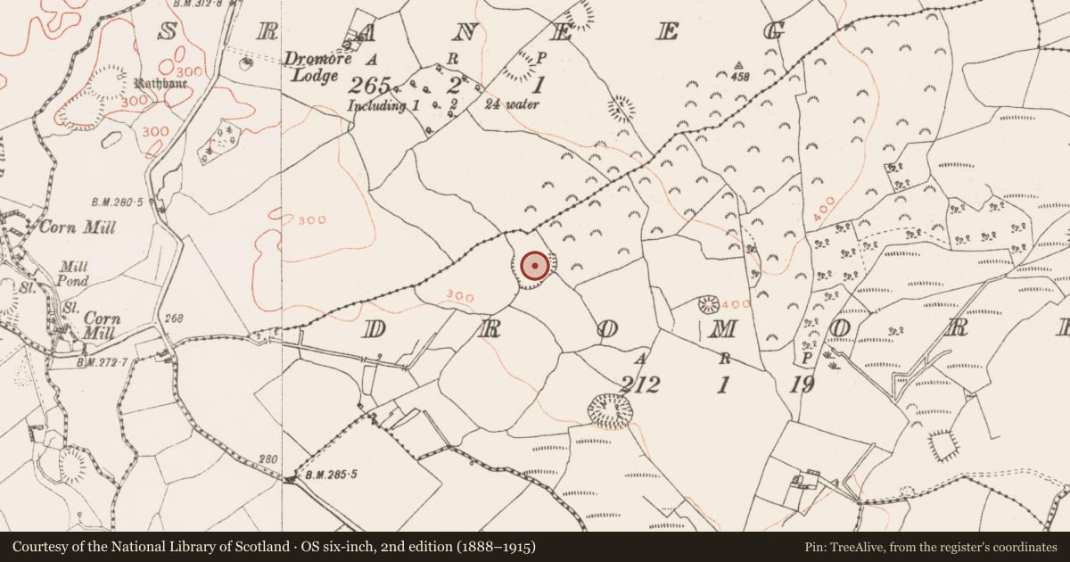 Ordnance Survey six-inch map, 2nd edition (1888–1915) covering the location of Ringfort - rath, Dromore, County Westmeath, with a pin at the register's coordinates
