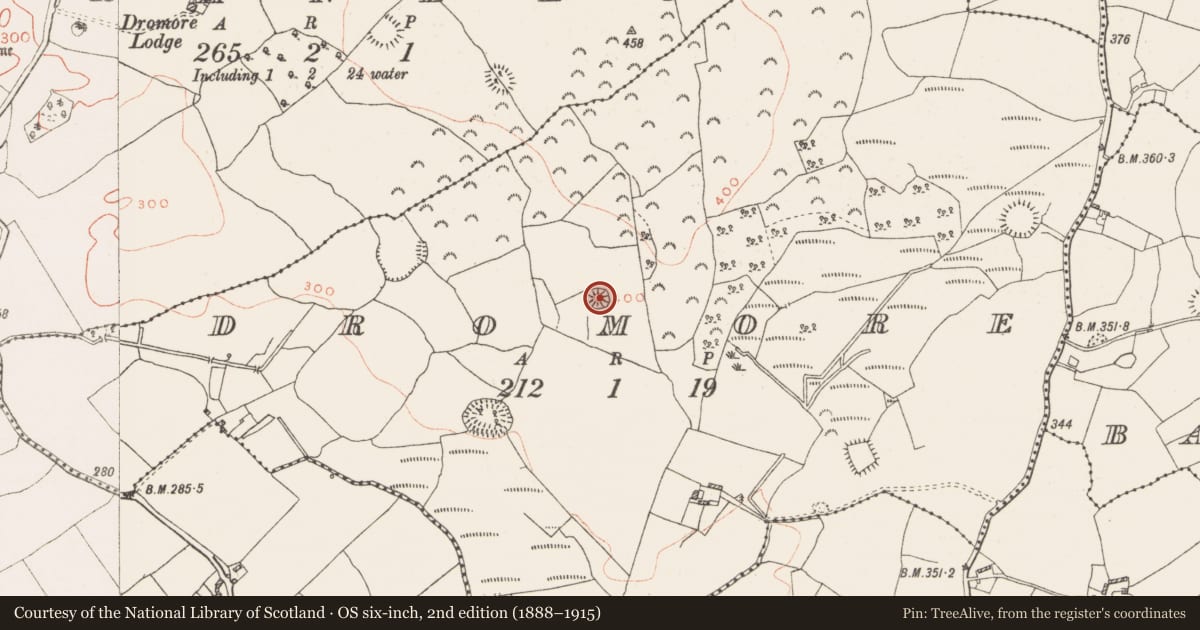 Ordnance Survey six-inch map, 2nd edition (1888–1915) covering the location of Castle - motte, Dromore, County Westmeath, with a pin at the register's coordinates