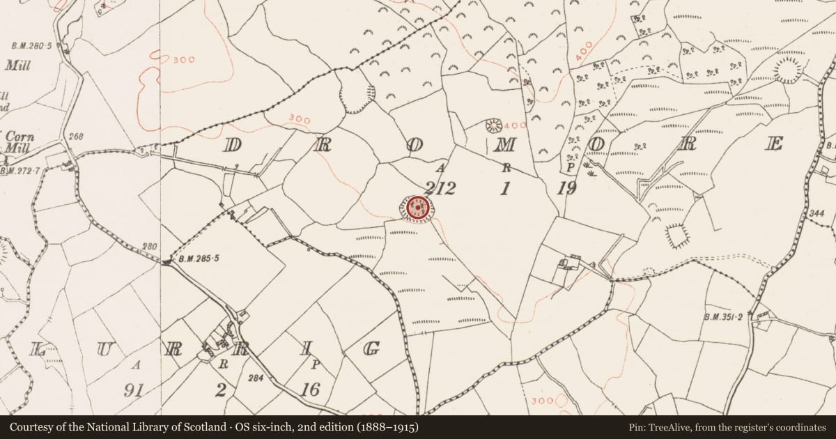 Ordnance Survey six-inch map, 2nd edition (1888–1915) covering the location of Ringfort - rath, Dromore, County Westmeath, with a pin at the register's coordinates
