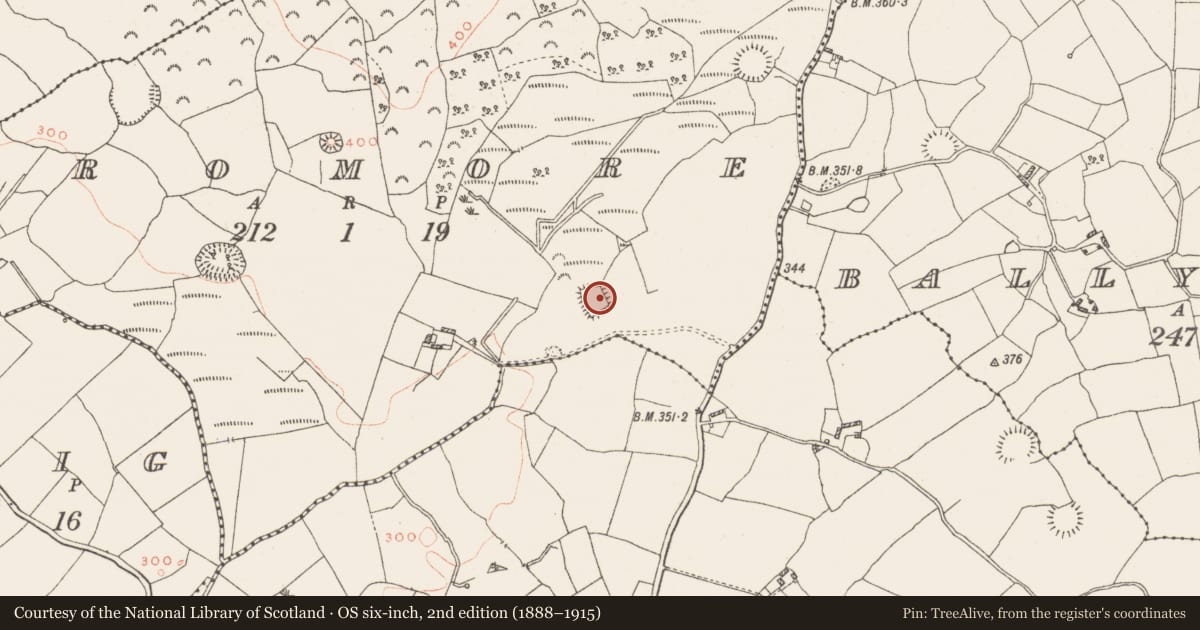 Ordnance Survey six-inch map, 2nd edition (1888–1915) covering the location of Moated site, Dromore, County Westmeath, with a pin at the register's coordinates