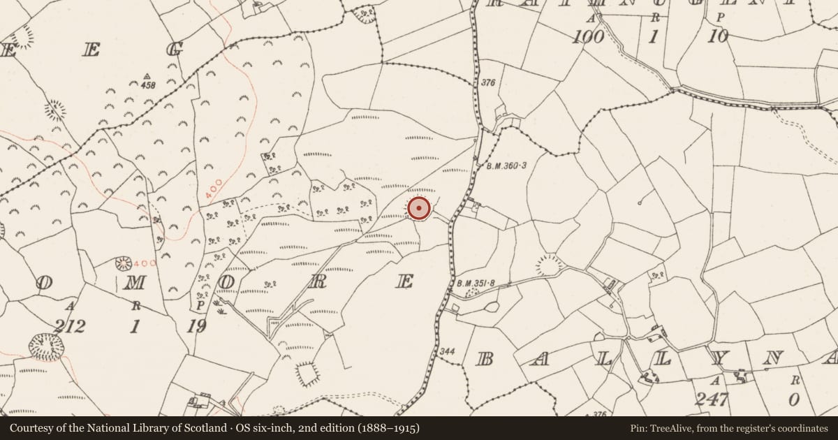 Ordnance Survey six-inch map, 2nd edition (1888–1915) covering the location of Ringfort - rath, Dromore, County Westmeath, with a pin at the register's coordinates
