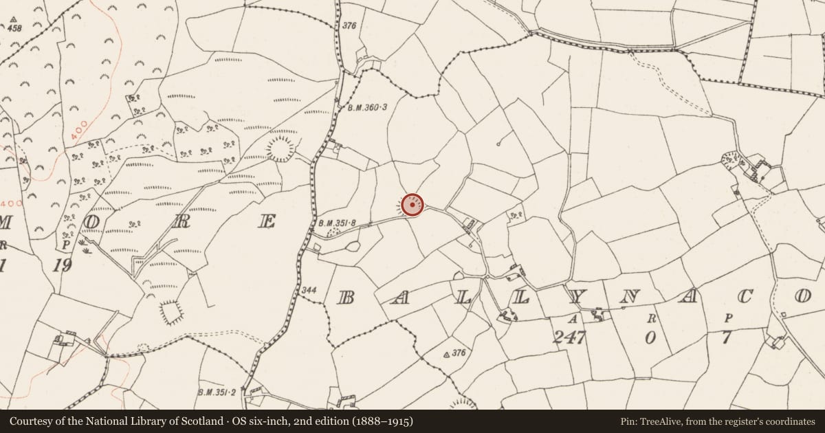 Ordnance Survey six-inch map, 2nd edition (1888–1915) covering the location of Ringfort - rath, Ballynacoska, County Westmeath, with a pin at the register's coordinates
