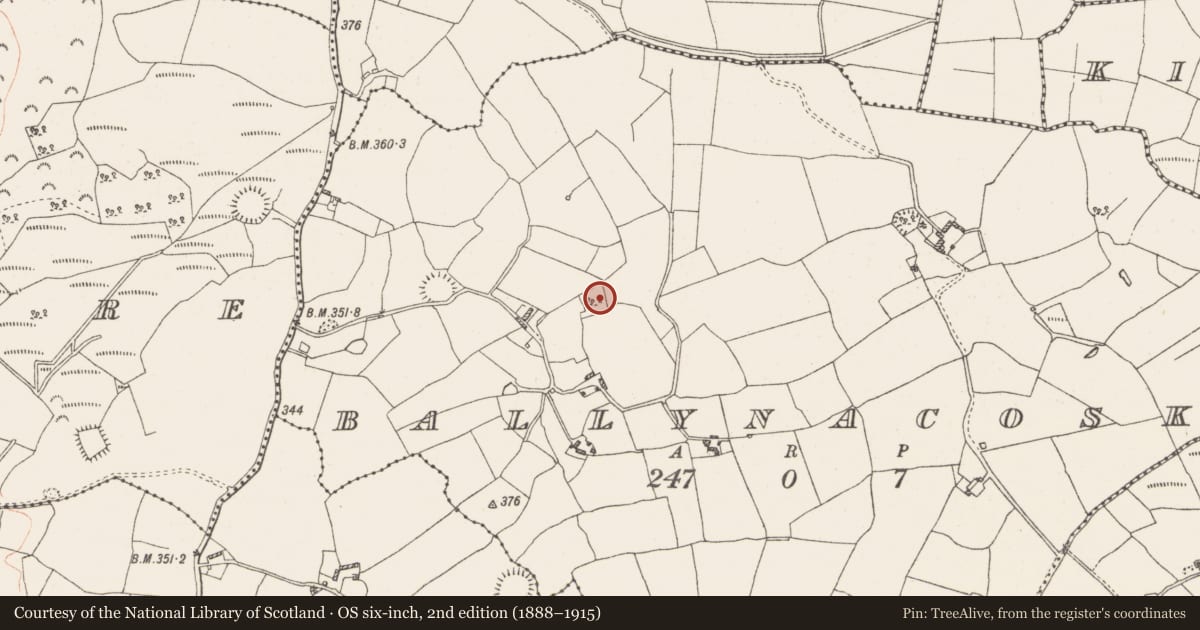 Ordnance Survey six-inch map, 2nd edition (1888–1915) covering the location of Ringfort - rath, Ballynacoska, County Westmeath, with a pin at the register's coordinates