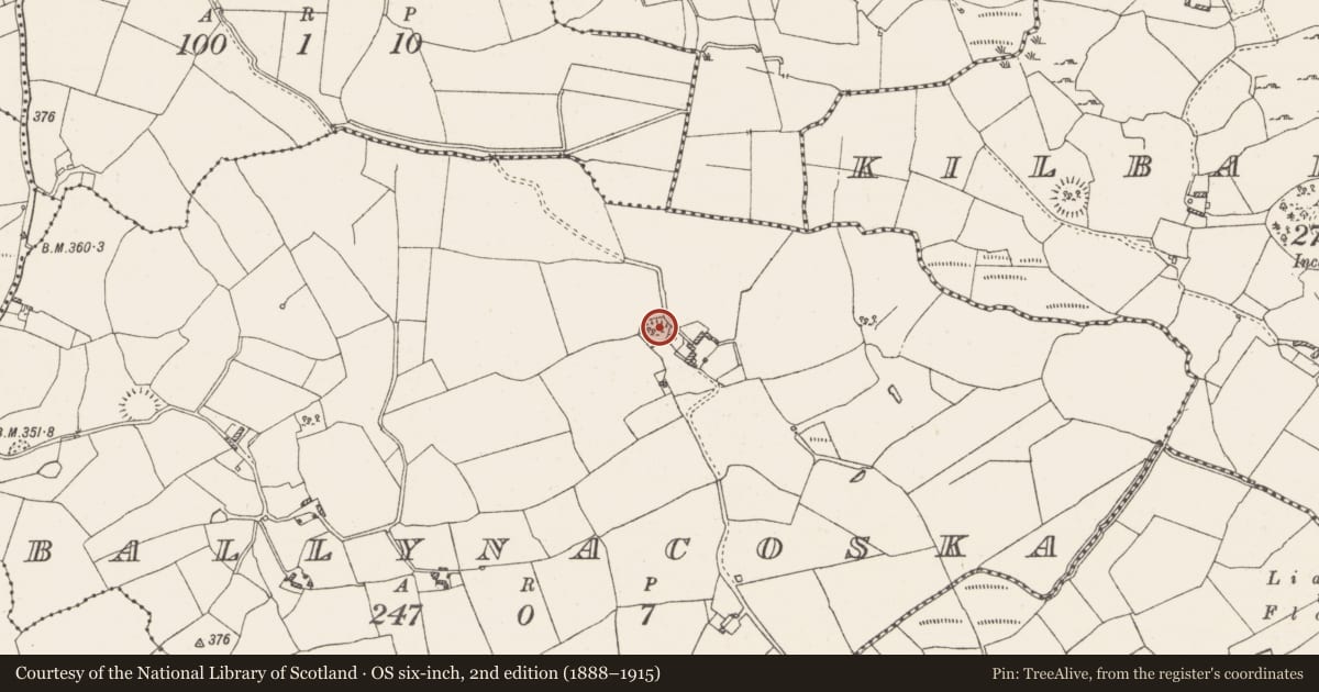 Ordnance Survey six-inch map, 2nd edition (1888–1915) covering the location of Ringfort - rath, Ballynacoska, County Westmeath, with a pin at the register's coordinates