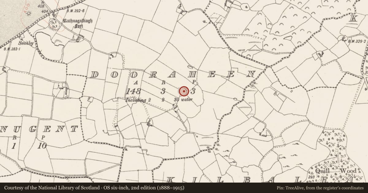 Ordnance Survey six-inch map, 2nd edition (1888–1915) covering the location of Ringfort - rath, Dooraheen, County Westmeath, with a pin at the register's coordinates