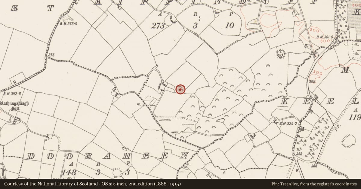 Ordnance Survey six-inch map, 2nd edition (1888–1915) covering the location of Ringfort - rath, Kippinduff, County Westmeath, with a pin at the register's coordinates