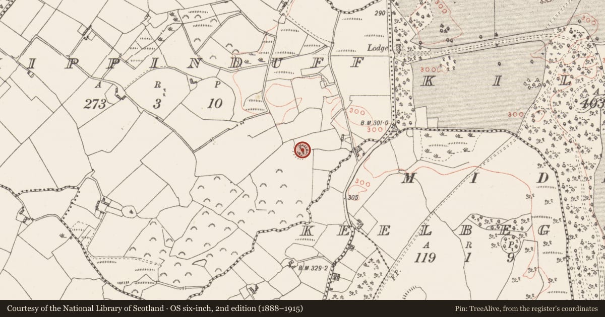 Ordnance Survey six-inch map, 2nd edition (1888–1915) covering the location of House - indeterminate date, Kippinduff, County Westmeath, with a pin at the register's coordinates