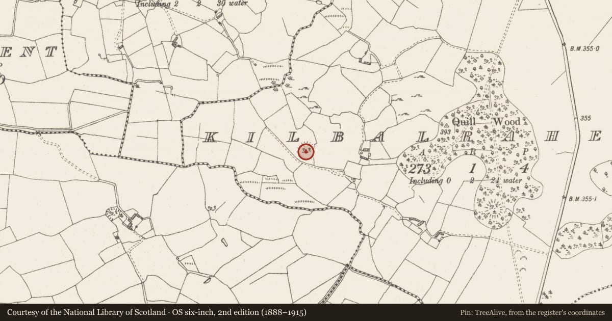 Ordnance Survey six-inch map, 2nd edition (1888–1915) covering the location of Ringfort - rath, Kilbalraherd, County Westmeath, with a pin at the register's coordinates