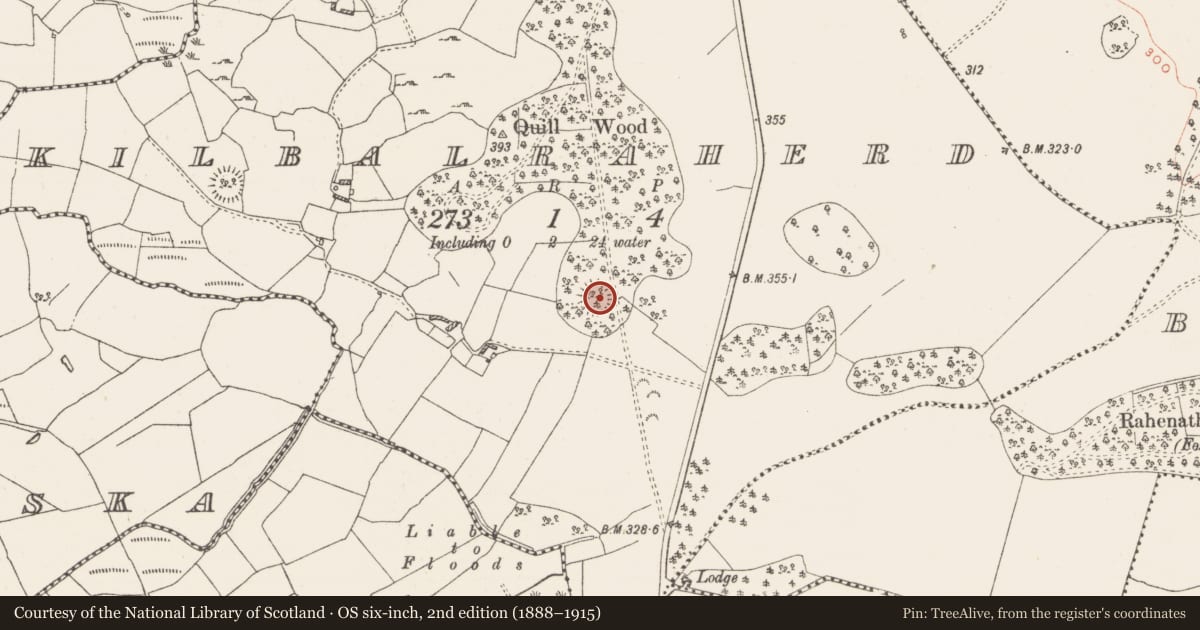 Ordnance Survey six-inch map, 2nd edition (1888–1915) covering the location of Ringfort - rath, Kilbalraherd, County Westmeath, with a pin at the register's coordinates
