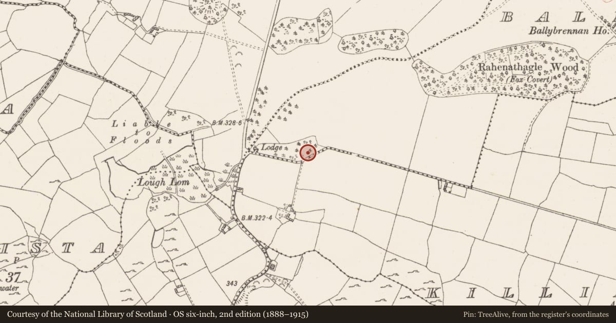 Ordnance Survey six-inch map, 2nd edition (1888–1915) covering the location of Flat cemetery, Ballybrennan, County Westmeath, with a pin at the register's coordinates