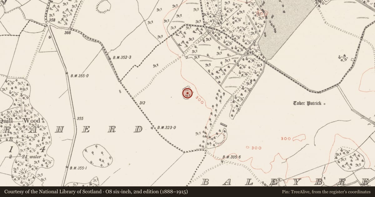 Ordnance Survey six-inch map, 2nd edition (1888–1915) covering the location of Enclosure, Ballybrennan, County Westmeath, with a pin at the register's coordinates