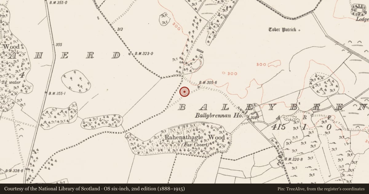 Ordnance Survey six-inch map, 2nd edition (1888–1915) covering the location of Inauguration stone, Ballybrennan, County Westmeath, with a pin at the register's coordinates