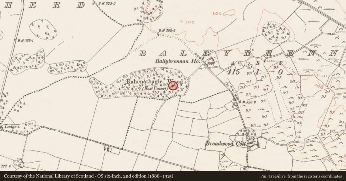 Ordnance Survey six-inch map, 2nd edition (1888–1915) covering the location of Enclosure, Ballybrennan, County Westmeath, with a pin at the register's coordinates