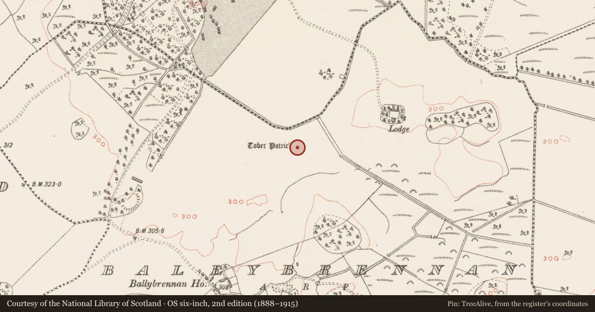 Ordnance Survey six-inch map, 2nd edition (1888–1915) covering the location of Ritual site - holy well, Ballybrennan, County Westmeath, with a pin at the register's coordinates