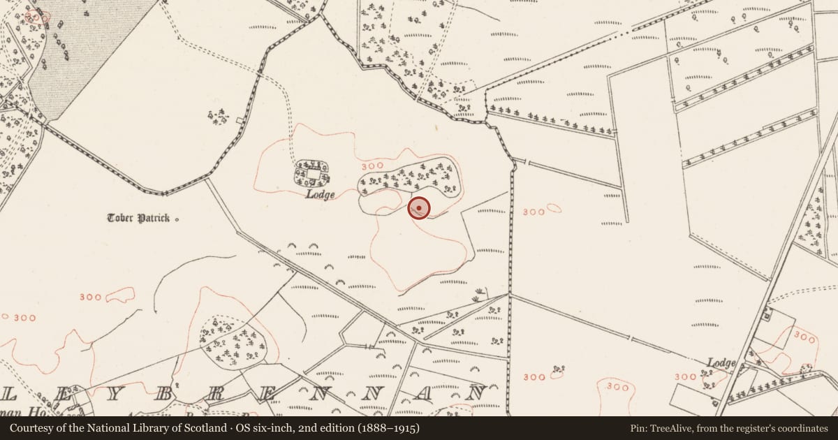 Ordnance Survey six-inch map, 2nd edition (1888–1915) covering the location of House - indeterminate date, Ballybrennan, County Westmeath, with a pin at the register's coordinates