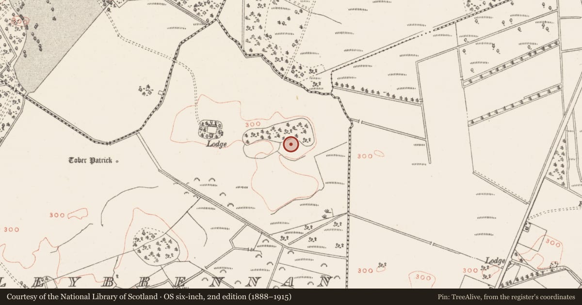 Ordnance Survey six-inch map, 2nd edition (1888–1915) covering the location of Hut site, Ballybrennan, County Westmeath, with a pin at the register's coordinates