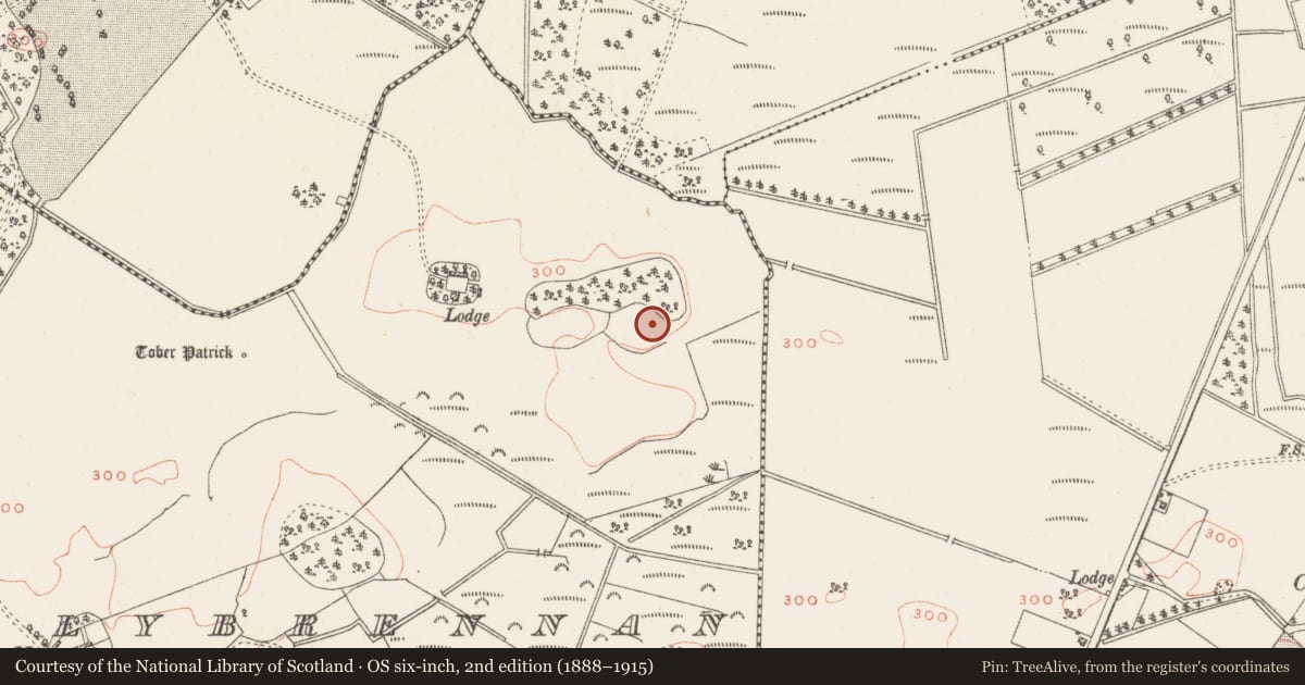 Ordnance Survey six-inch map, 2nd edition (1888–1915) covering the location of Hut site, Ballybrennan, County Westmeath, with a pin at the register's coordinates