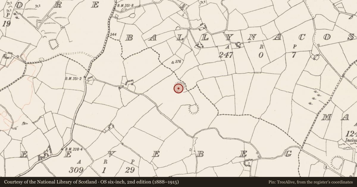 Ordnance Survey six-inch map, 2nd edition (1888–1915) covering the location of Ringfort - unclassified, Gneevebeg, County Westmeath, with a pin at the register's coordinates