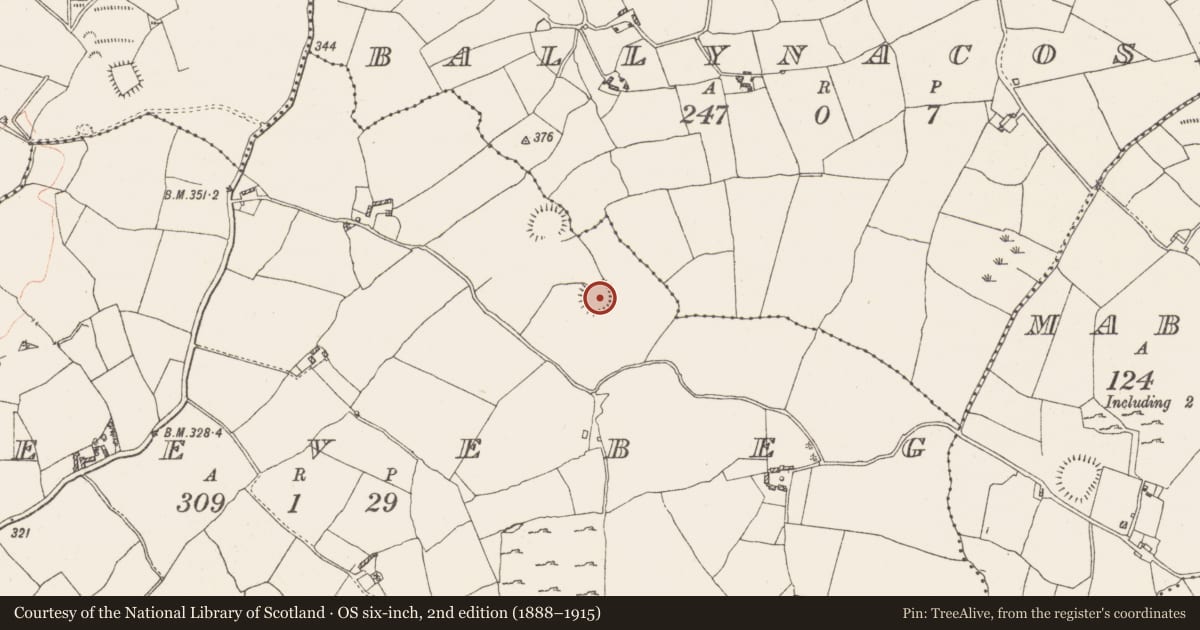 Ordnance Survey six-inch map, 2nd edition (1888–1915) covering the location of Ringfort - rath, Gneevebeg, County Westmeath, with a pin at the register's coordinates