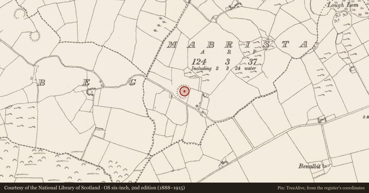 Ordnance Survey six-inch map, 2nd edition (1888–1915) covering the location of Ringfort - rath, Mabrista, County Westmeath, with a pin at the register's coordinates
