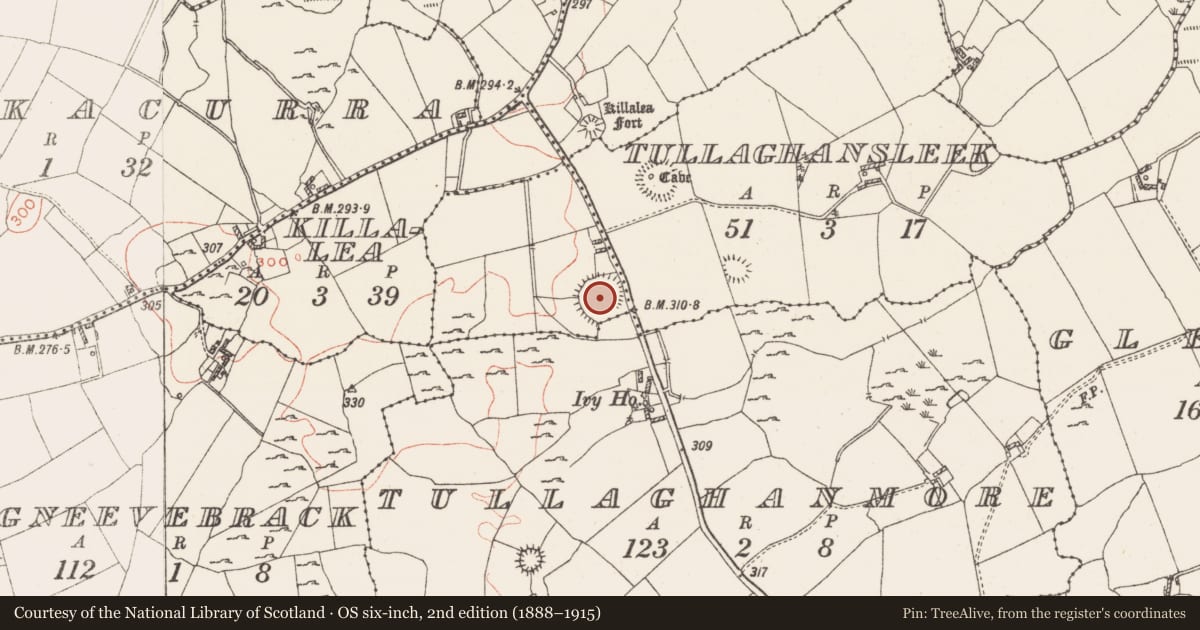 Ordnance Survey six-inch map, 2nd edition (1888–1915) covering the location of Ringfort - rath, Gneevebrack, County Westmeath, with a pin at the register's coordinates