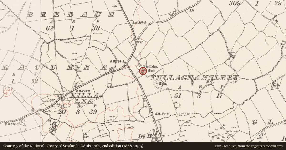 Ordnance Survey six-inch map, 2nd edition (1888–1915) covering the location of Castle - motte, Gneevebeg, County Westmeath, with a pin at the register's coordinates