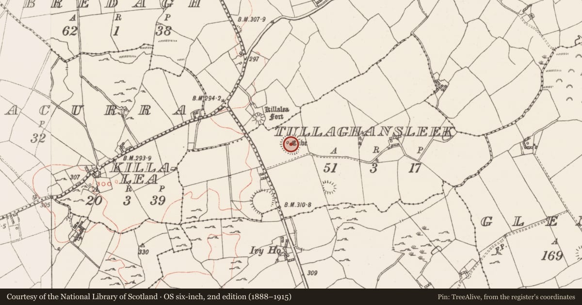 Ordnance Survey six-inch map, 2nd edition (1888–1915) covering the location of Ringfort - rath, Tullaghansleek, County Westmeath, with a pin at the register's coordinates
