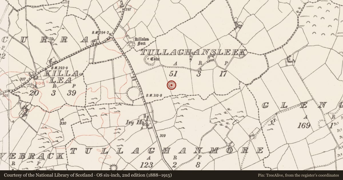 Ordnance Survey six-inch map, 2nd edition (1888–1915) covering the location of Ringfort - rath, Tullaghansleek, County Westmeath, with a pin at the register's coordinates