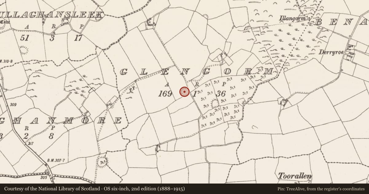 Ordnance Survey six-inch map, 2nd edition (1888–1915) covering the location of Ringfort - rath, Glengorm, County Westmeath, with a pin at the register's coordinates