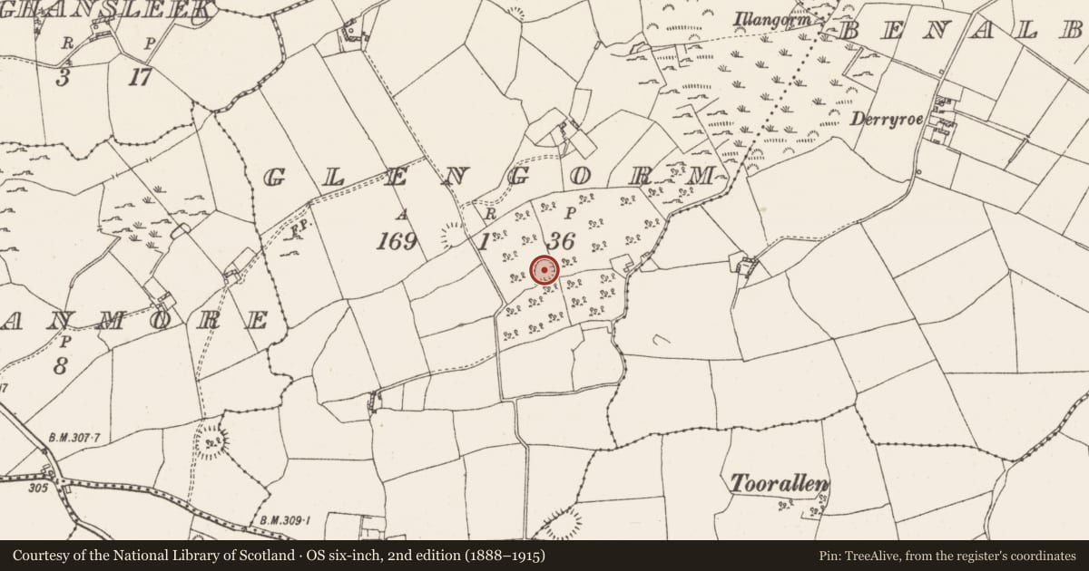 Ordnance Survey six-inch map, 2nd edition (1888–1915) covering the location of Ringfort - rath, Glengorm, County Westmeath, with a pin at the register's coordinates