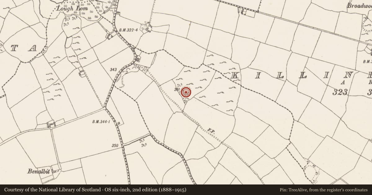 Ordnance Survey six-inch map, 2nd edition (1888–1915) covering the location of Ringfort - rath, Ballykilroe, County Westmeath, with a pin at the register's coordinates