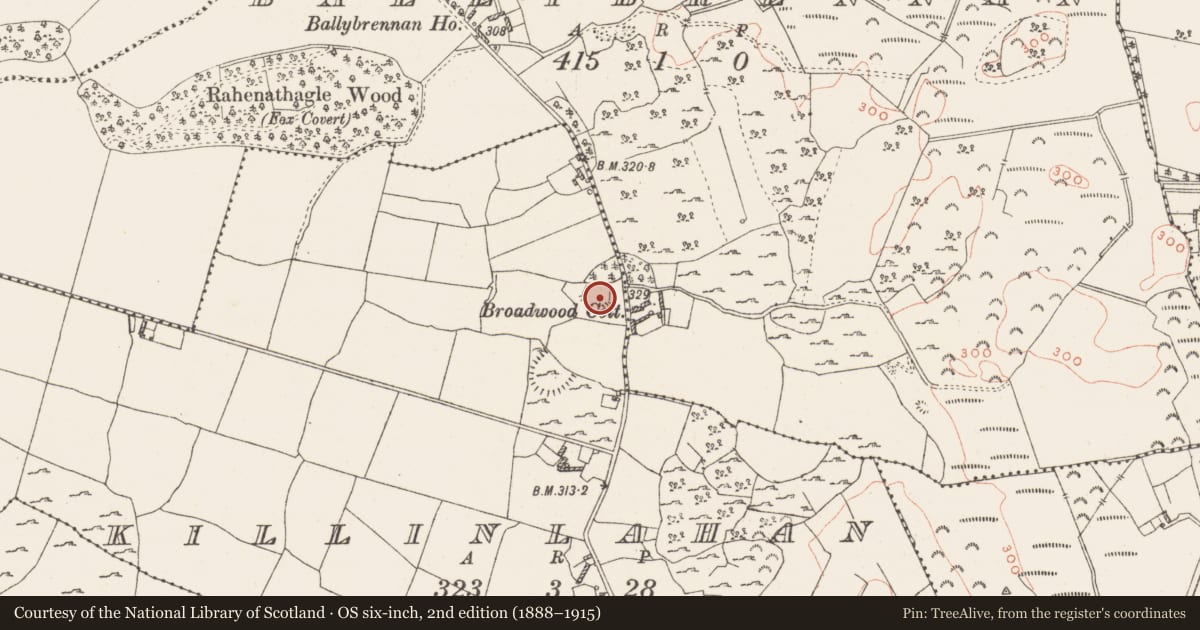 Ordnance Survey six-inch map, 2nd edition (1888–1915) covering the location of Castle - unclassified, Killinlahan, County Westmeath, with a pin at the register's coordinates