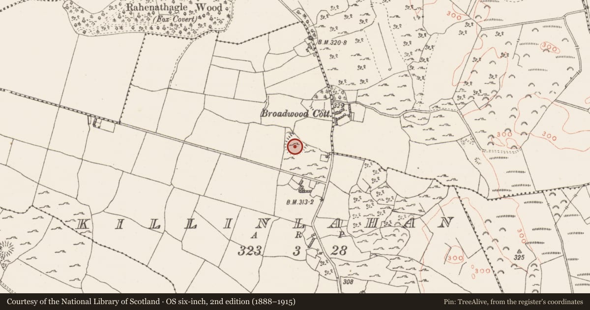 Ordnance Survey six-inch map, 2nd edition (1888–1915) covering the location of Ringfort - rath, Killinlahan, County Westmeath, with a pin at the register's coordinates
