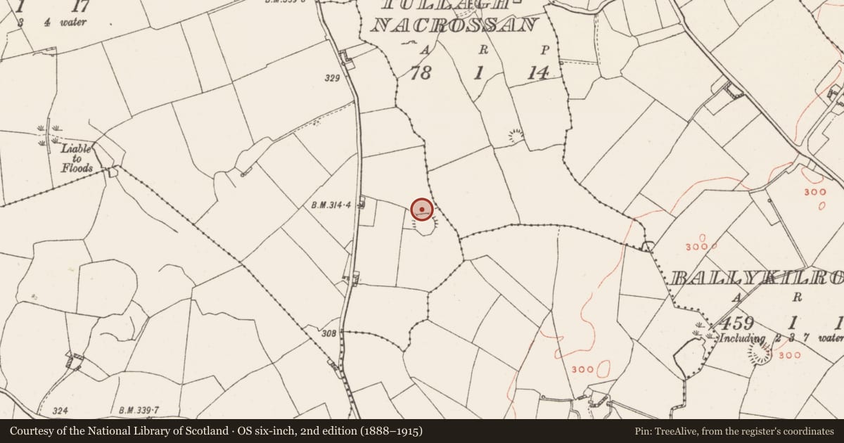 Ordnance Survey six-inch map, 2nd edition (1888–1915) covering the location of Cist, Benalbit And Derryroe, County Westmeath, with a pin at the register's coordinates