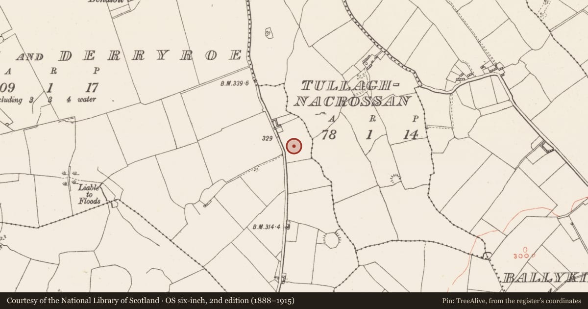 Ordnance Survey six-inch map, 2nd edition (1888–1915) covering the location of Barrow - unclassified, Benalbit And Derryroe, County Westmeath, with a pin at the register's coordinates