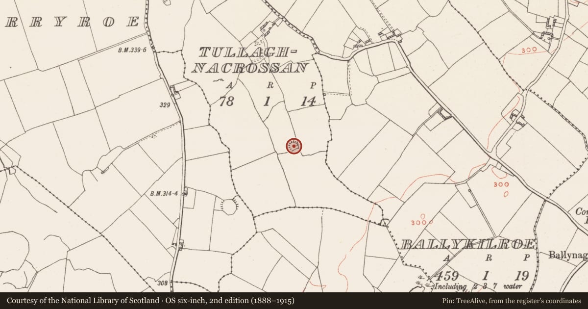 Ordnance Survey six-inch map, 2nd edition (1888–1915) covering the location of Ringfort - rath, Tullaghnacrossan, County Westmeath, with a pin at the register's coordinates