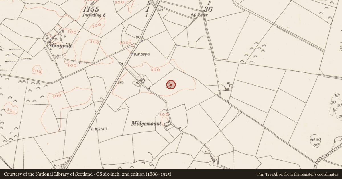 Ordnance Survey six-inch map, 2nd edition (1888–1915) covering the location of Earthwork, Cloonagh, County Westmeath, with a pin at the register's coordinates