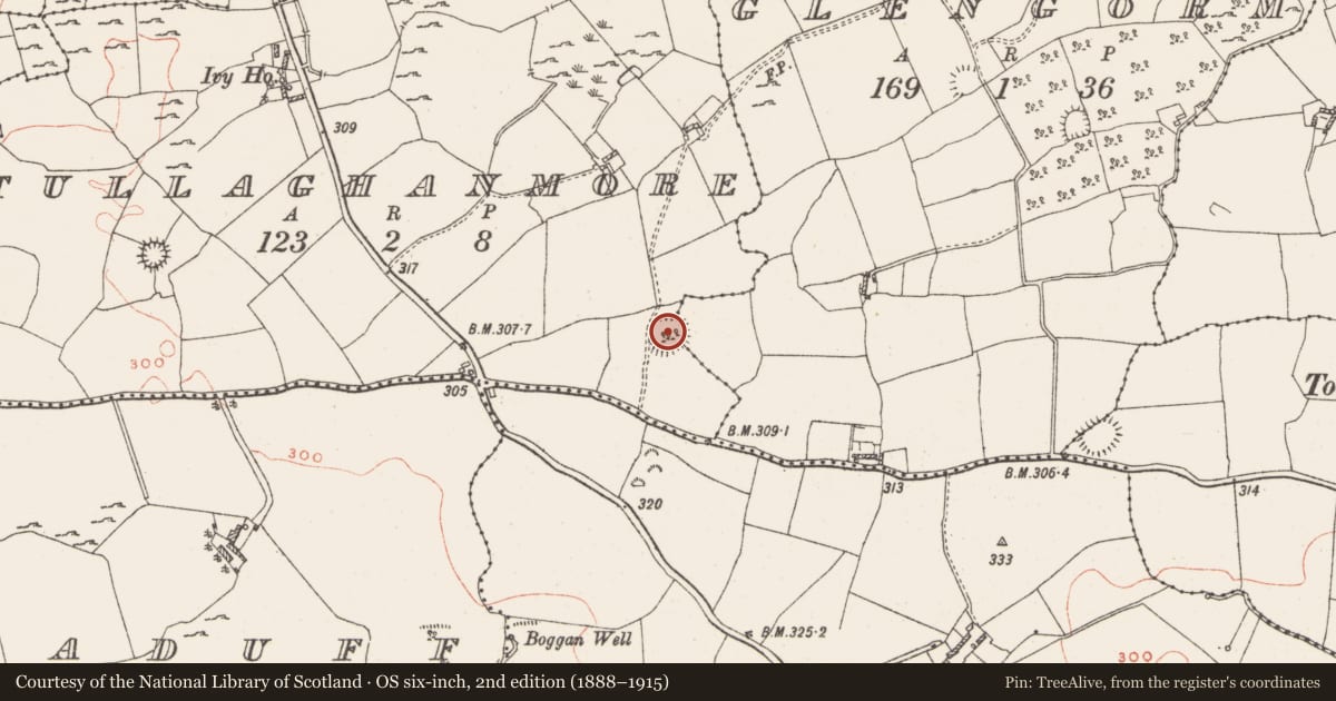 Ordnance Survey six-inch map, 2nd edition (1888–1915) covering the location of Ringfort - rath, Tullaghanmore, County Westmeath, with a pin at the register's coordinates