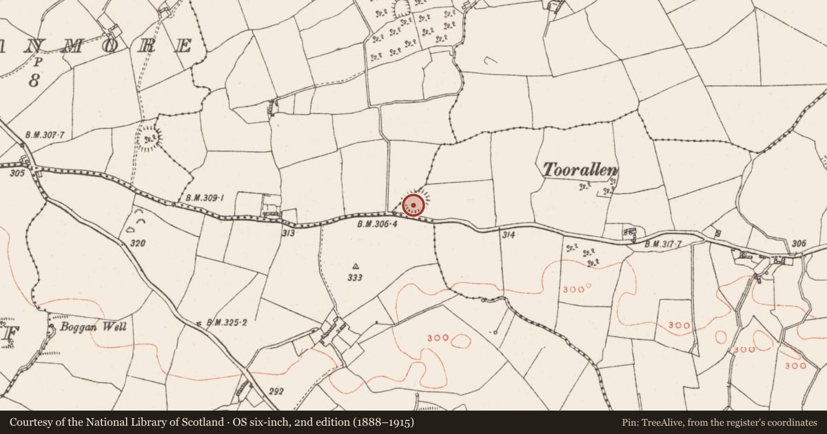 Ordnance Survey six-inch map, 2nd edition (1888–1915) covering the location of Ringfort - rath, Toorlisnamore, County Westmeath, with a pin at the register's coordinates