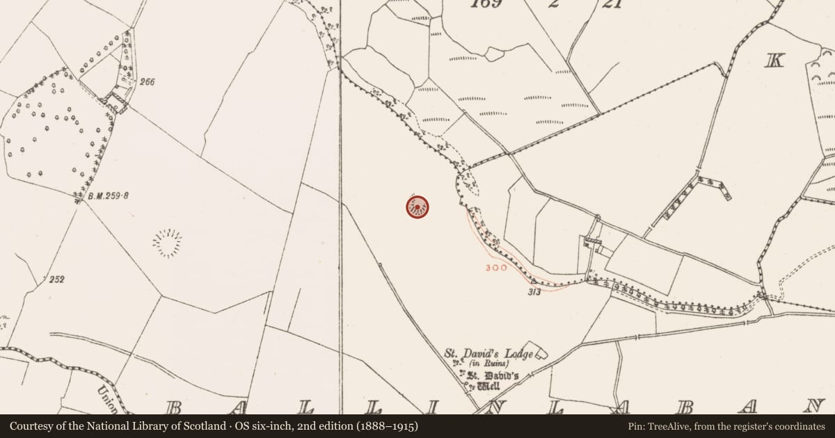 Ordnance Survey six-inch map, 2nd edition (1888–1915) covering the location of Earthwork, Ballinlaban, County Westmeath, with a pin at the register's coordinates