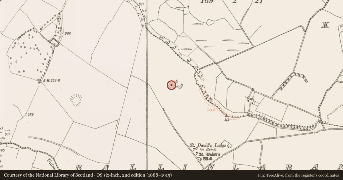 Ordnance Survey six-inch map, 2nd edition (1888–1915) covering the location of Field system, Ballinlaban, County Westmeath, with a pin at the register's coordinates
