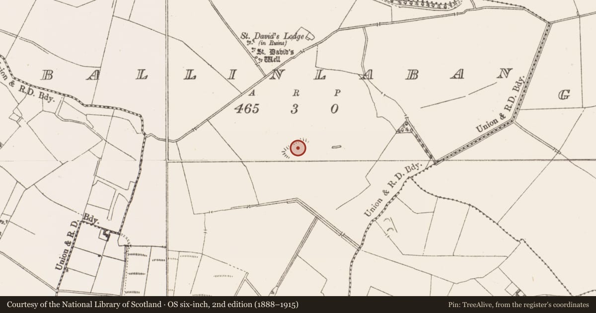 Ordnance Survey six-inch map, 2nd edition (1888–1915) covering the location of Ringfort - rath, Ballinlaban, County Westmeath, with a pin at the register's coordinates