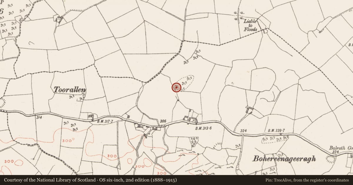 Ordnance Survey six-inch map, 2nd edition (1888–1915) covering the location of Ringfort - rath, Toorlisnamore, County Westmeath, with a pin at the register's coordinates