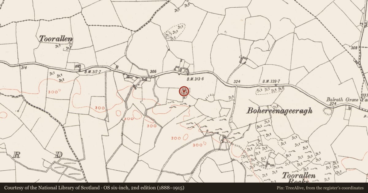 Ordnance Survey six-inch map, 2nd edition (1888–1915) covering the location of Ringfort - unclassified, Toorlisnamore, County Westmeath, with a pin at the register's coordinates