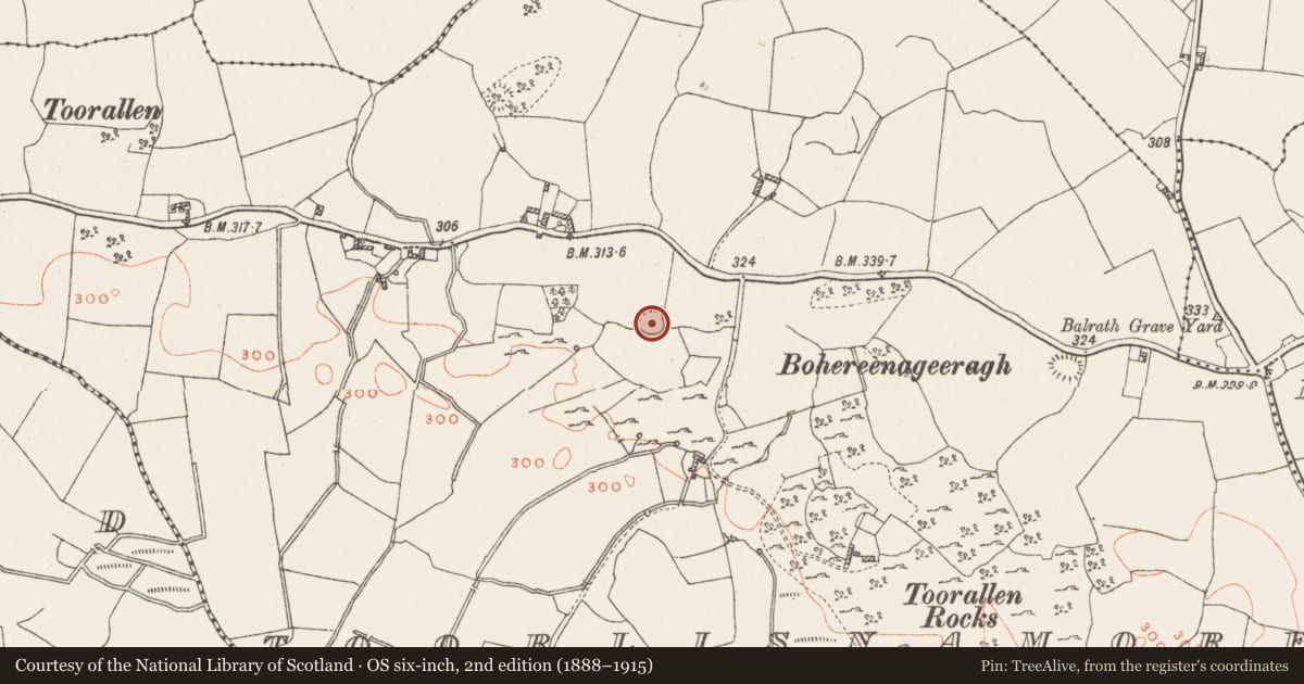 Ordnance Survey six-inch map, 2nd edition (1888–1915) covering the location of Ringfort - rath, Toorlisnamore, County Westmeath, with a pin at the register's coordinates