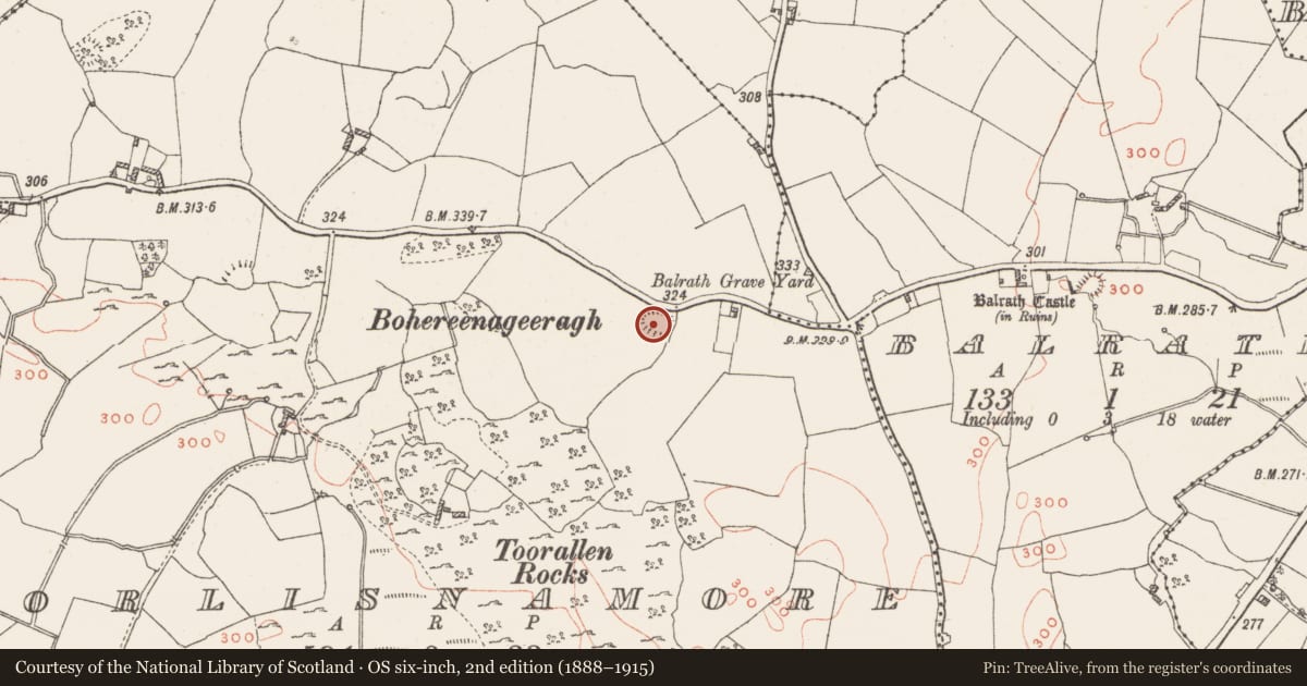 Ordnance Survey six-inch map, 2nd edition (1888–1915) covering the location of Ringfort - cashel, Toorlisnamore, County Westmeath, with a pin at the register's coordinates